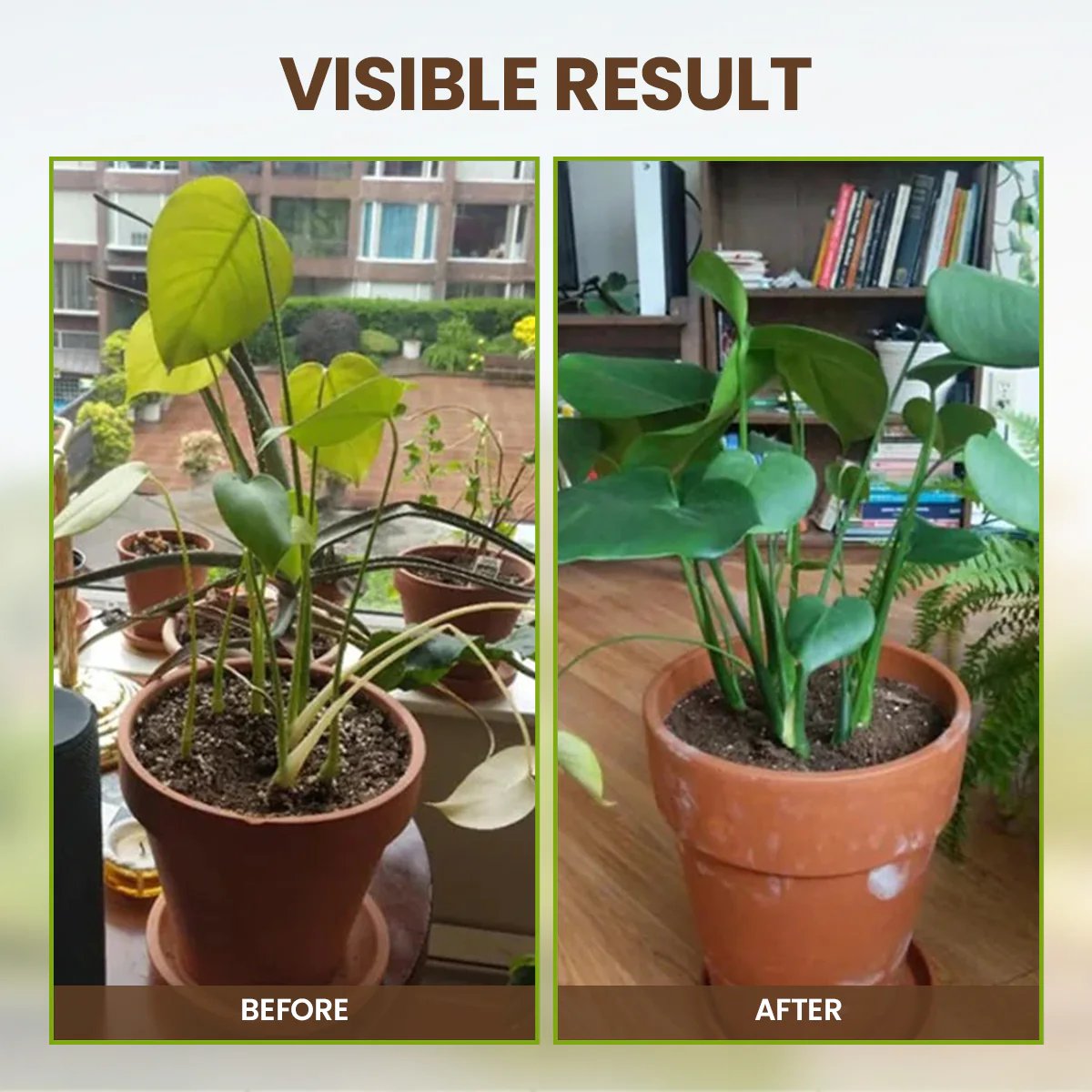 Sustained Plant Nutrient Booster Product Image 06