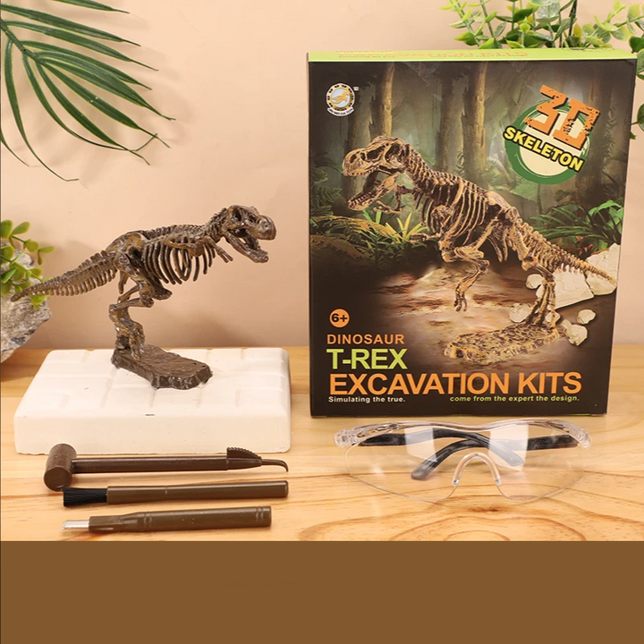 T. rex skeleton model on a base beside its excavation block, tools, clear goggles, and box