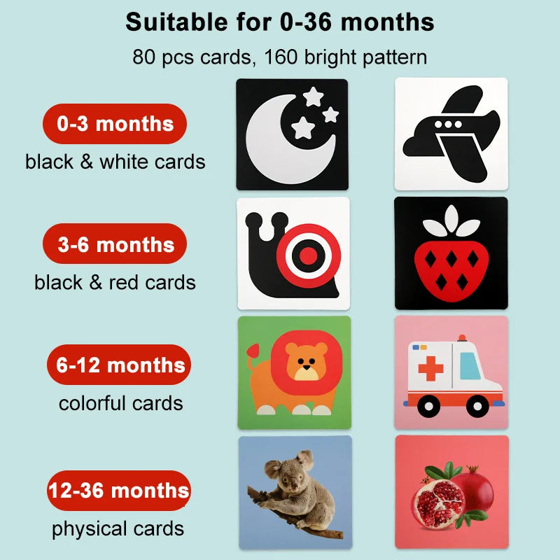 Age-stage visual card guide showing black-and-white, black-and-red, colorful, and photographic designs.