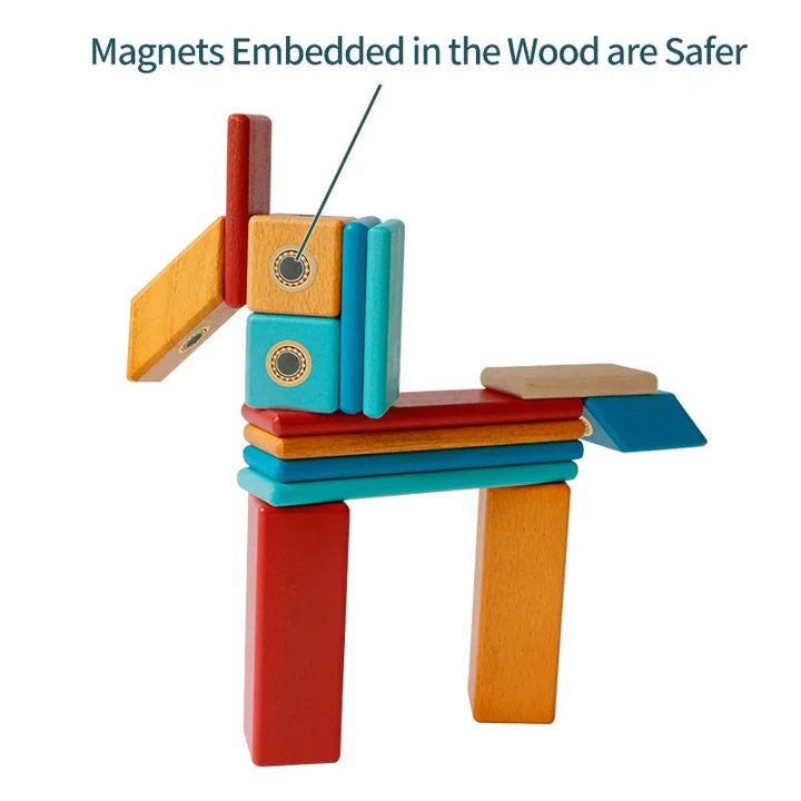 Animal-shaped magnetic wooden build showing circular magnet connections