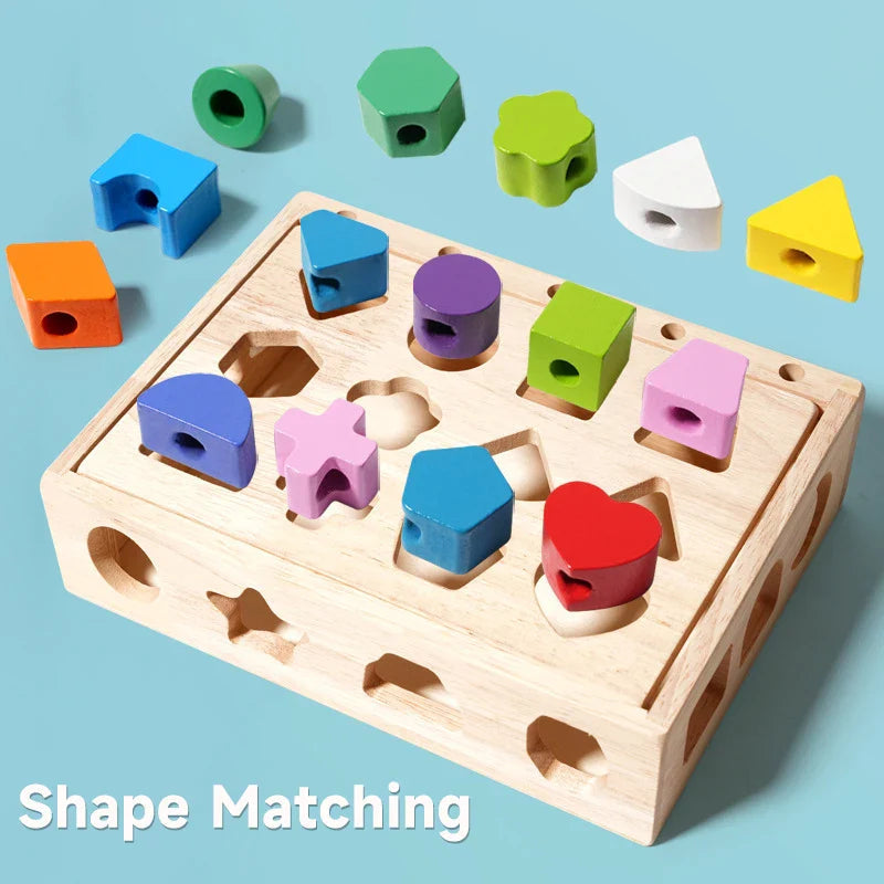 Colorful wooden blocks arranged beside matching cutouts on the shape sorter box