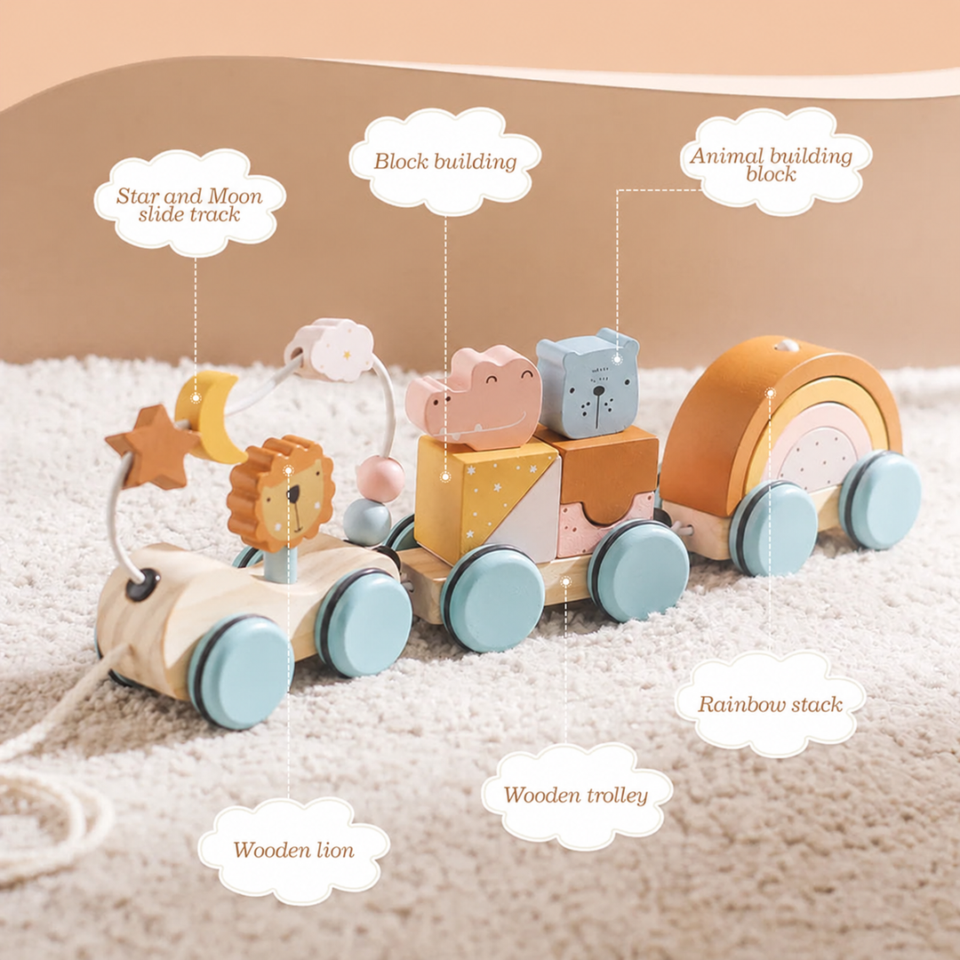 Assembled wooden train with a lion, star and moon bead track, animal blocks, and rainbow arches